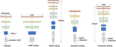 Improving plant disease classification by adaptive minimal ensembling